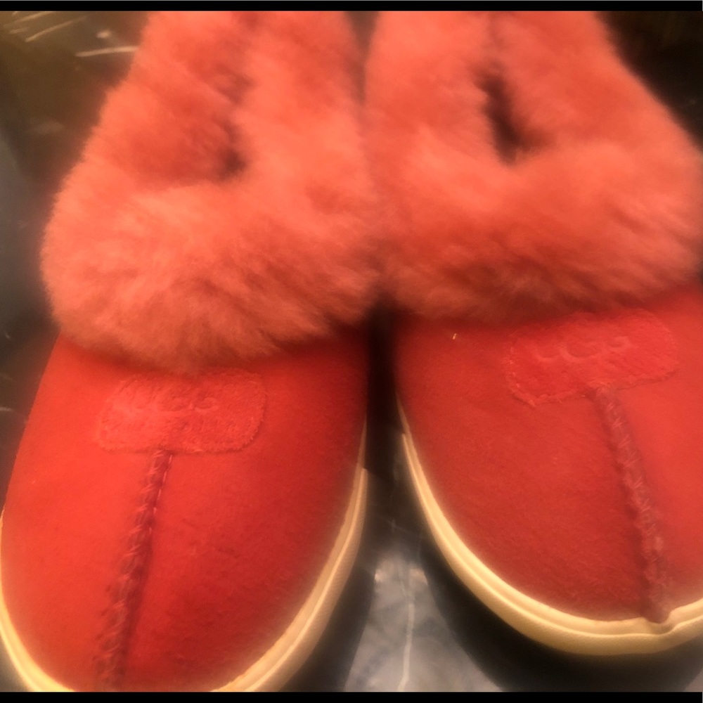 Ugg shoes